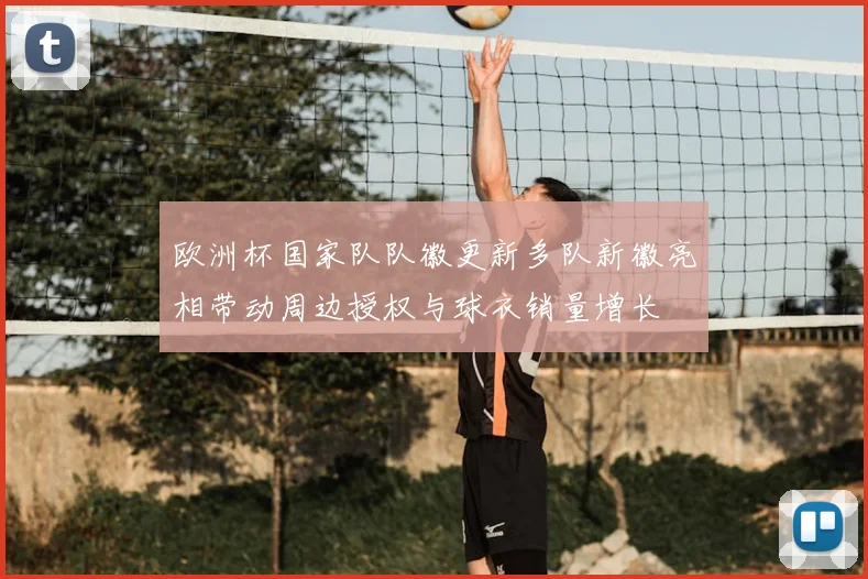 欧洲杯国家队队徽更新多队新徽亮相带动周边授权与球衣销量增长