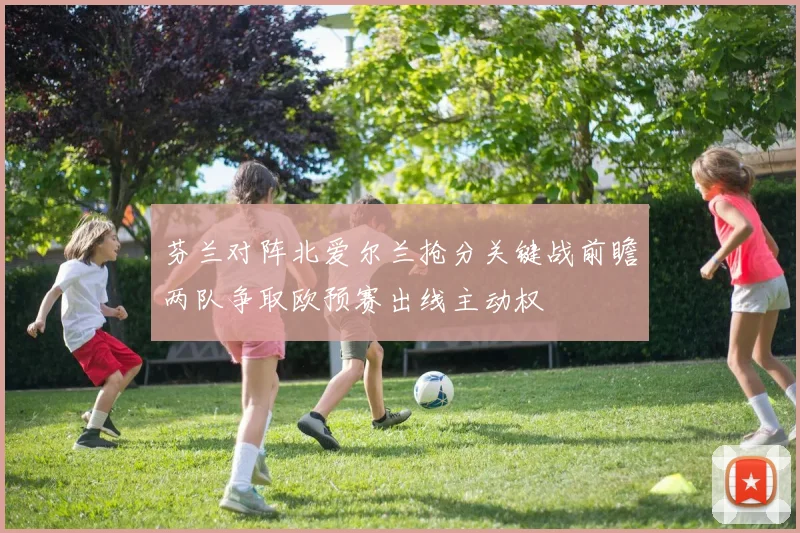 芬兰对阵北爱尔兰抢分关键战前瞻两队争取欧预赛出线主动权