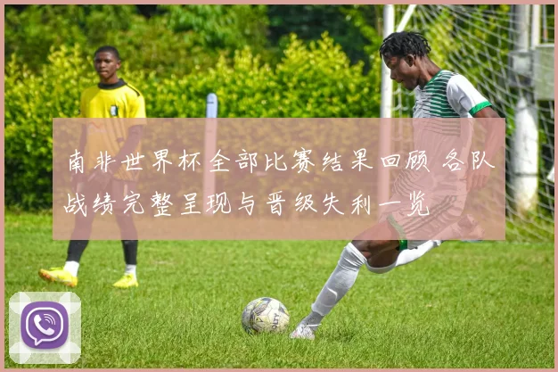 南非世界杯全部比赛结果回顾 各队战绩完整呈现与晋级失利一览