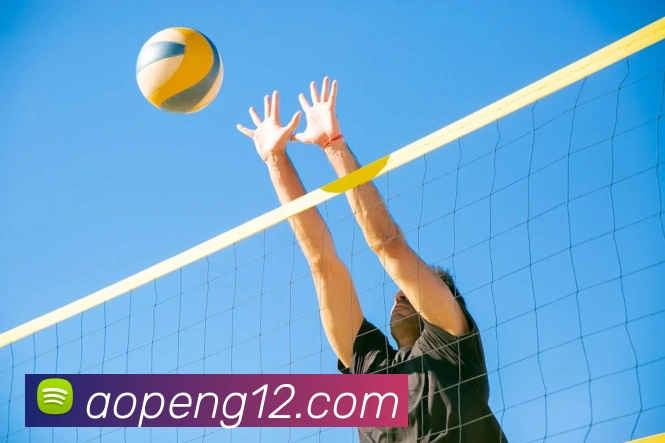 App Interface Preview