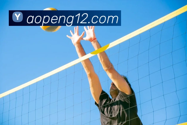 必一运动官方网站APP 封面图